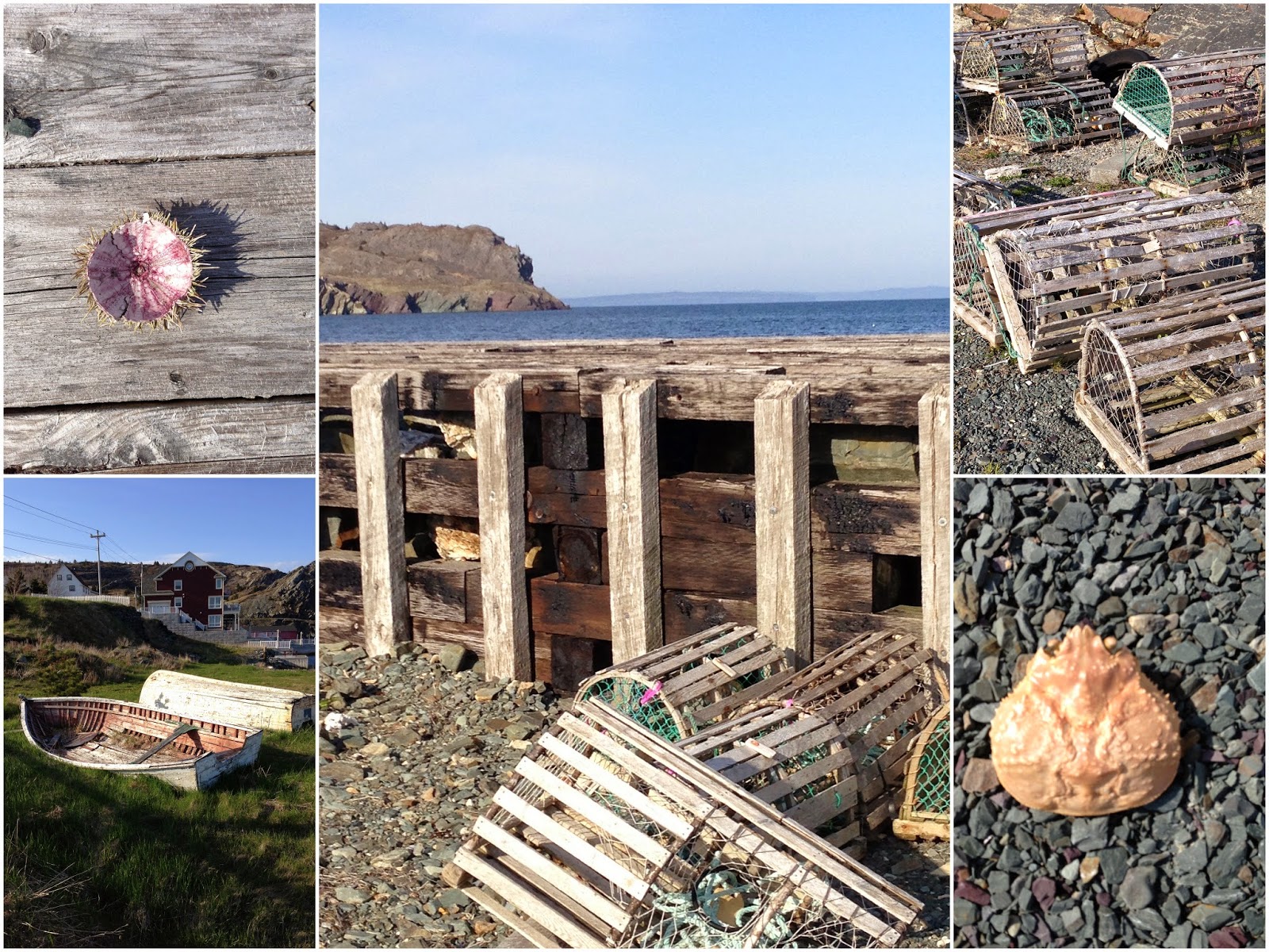 Litteratur, mat og Brigus, Newfoundland