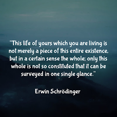 埃爾溫·薛丁格名言：This life of yours which you are living is not merely a piece of this entire existence, but in a certain sense the whole; only this whole is not so constituted that it can be surveyed in one single glance. - Erwin Schrödinger