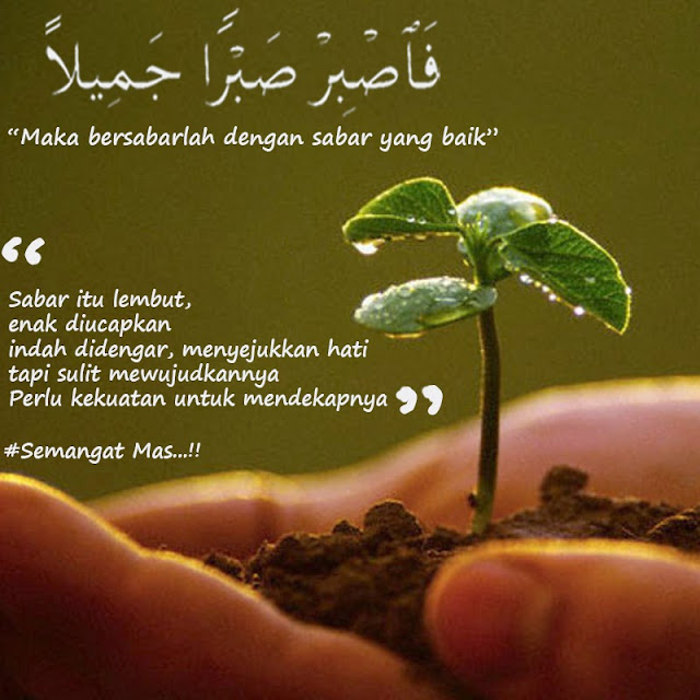 Begini Seoang Muslim Menghadpi Orang Marah Dalam Islam Begini Seoang Muslim Menghadpi Orang Marah Dalam Islam