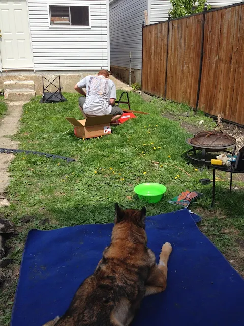 Mike assembling wheelbarrow while Hailey watches