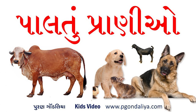 પાલતુ પ્રાણીઓના નામ | Pets Animal Name In Gujarati - Puran Gondaliya