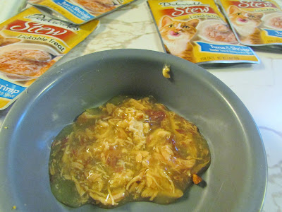 Cat Food Pouches How Many Per Day Cat Food Pouches How Many Per Day