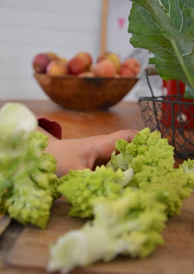 choux fleurs du jardin à cuisiner en gratin photo jardin sauvage non libre de droit