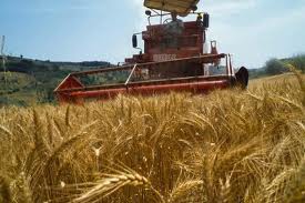 مصادر الأغذية - الحصاد بواسطة الآلات العصرية