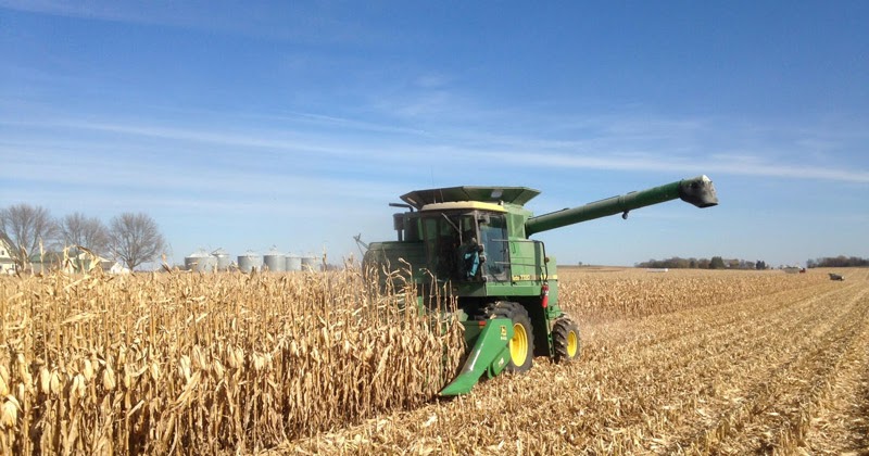 Corn harvest, drying, storage challenging this year