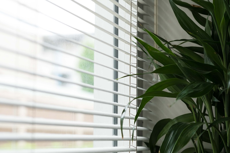 Insulated Blinds