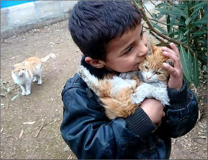 Trauma therapy makes sound sense