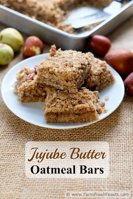 http://www.farmfreshfeasts.com/2015/10/jujube-butter-oatmeal-bars.html