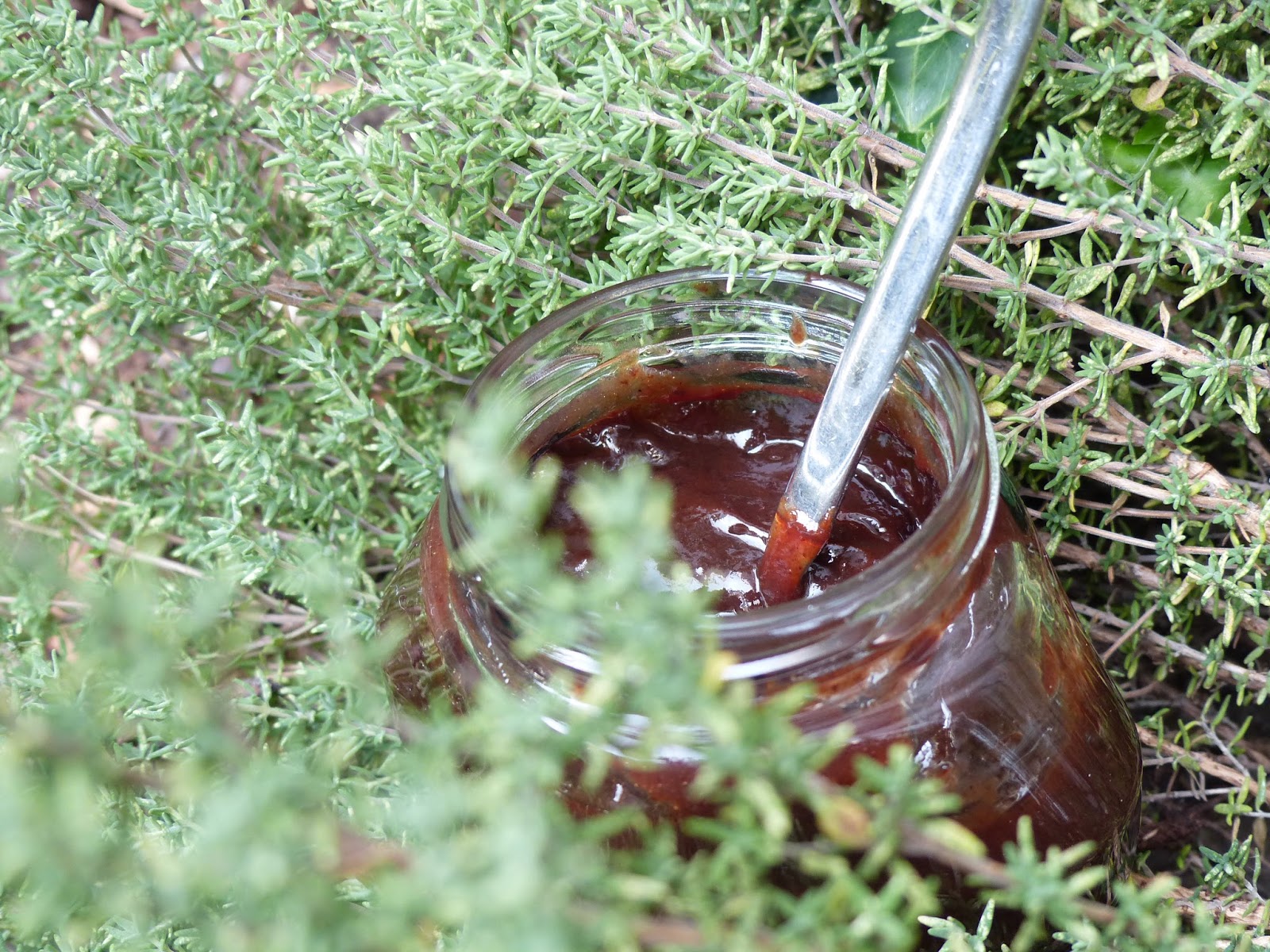 Samtiges Brombeer ~ Chutney — Verboten Gut