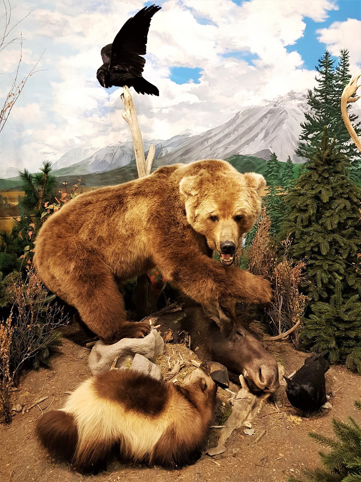 Summer Fun in Sundre, Alberta Photo Essay Play Outside Guide