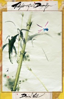 Flight of the Dragonfly