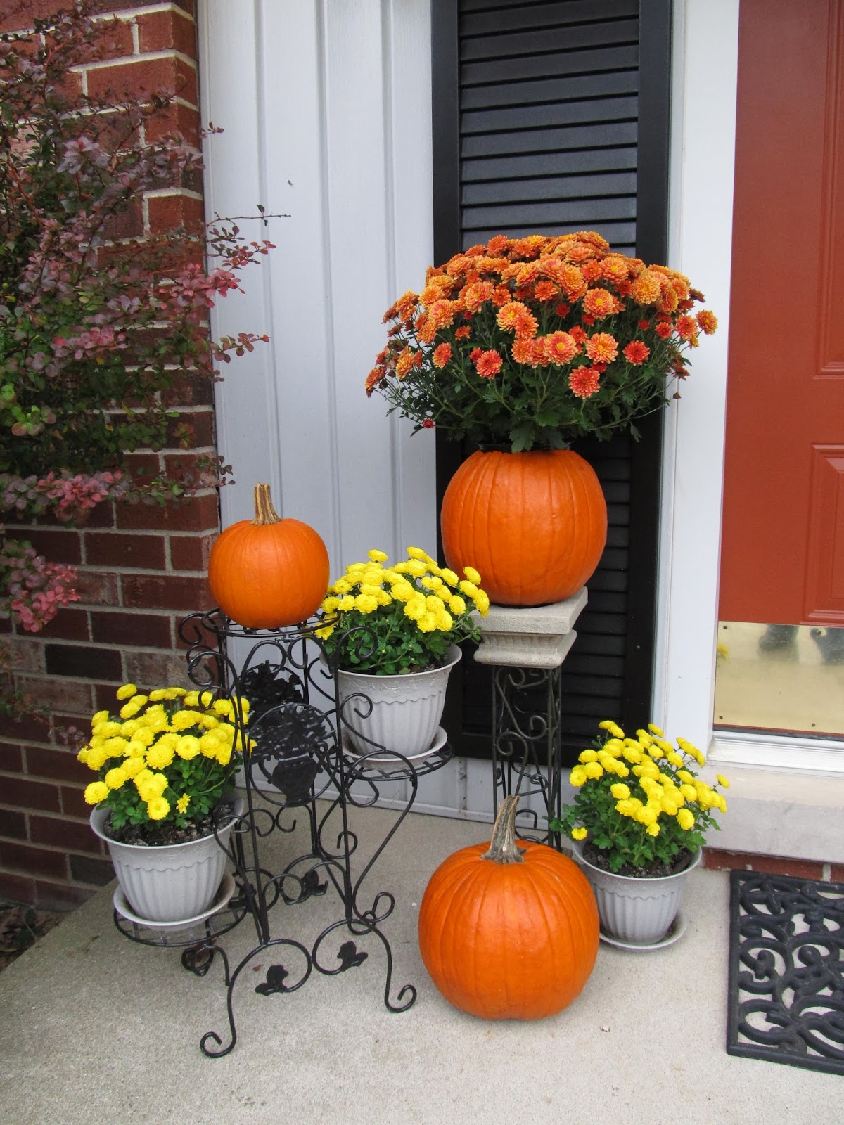 Designing Dreams on a Dime: Embracing Autumn