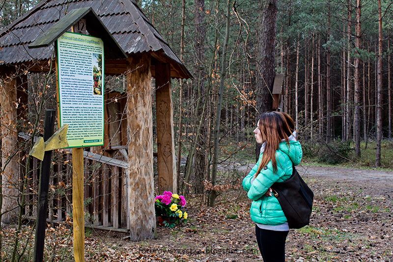 ścieżka edukacyjna,Maziarnia,Zalesie,Stany,gmina Bojanów,Puszcza Sandomierska,lasy