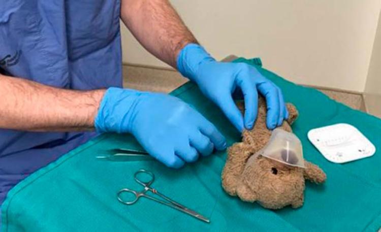 Médico 'opera' ursinho para agradar criança de 8 anos antes de cirurgia; imagem viraliza