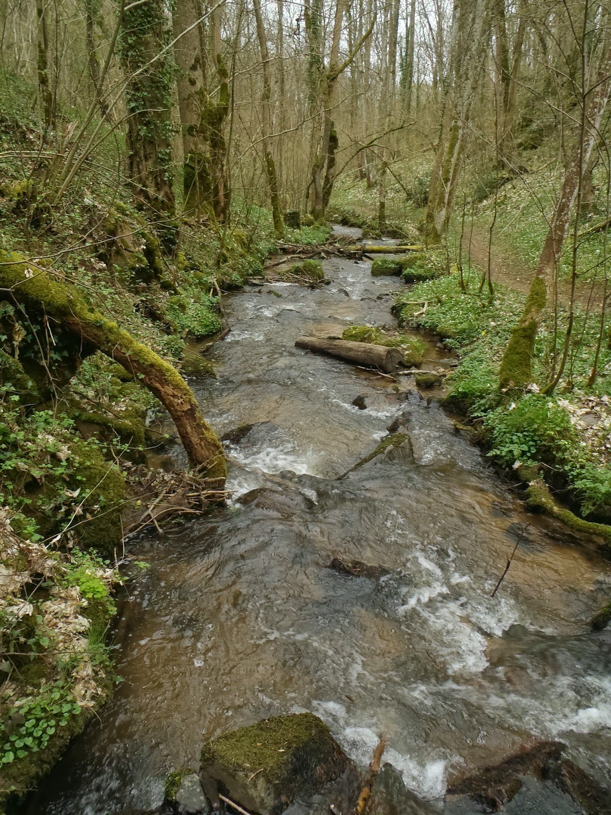 rando sac au dos - par Bleausard 77: Auvergne : Chatel Guyon les Gorges ...