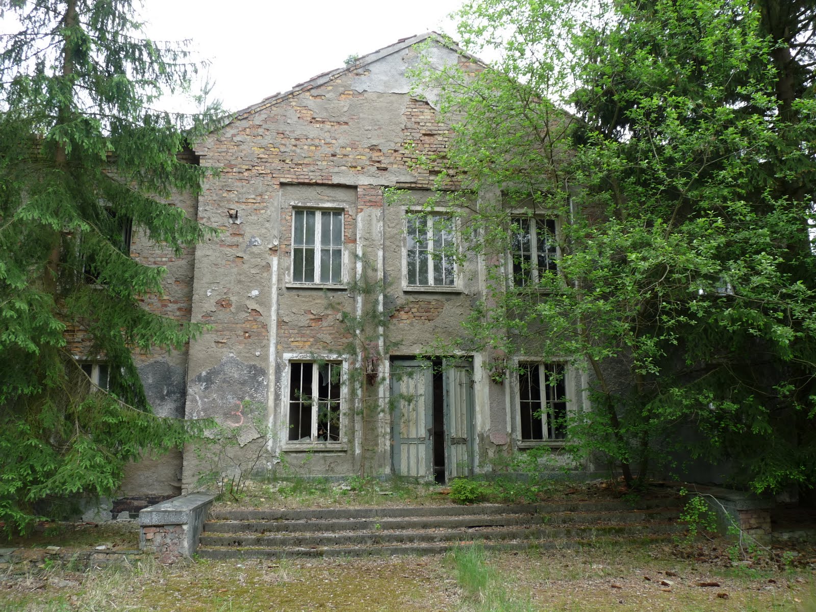 Германия фогельзанг Германия фогельзанг