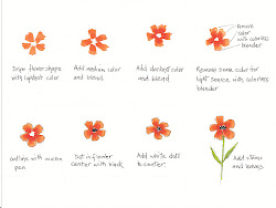 watercolor flowers copic markers easy flower larger pdf