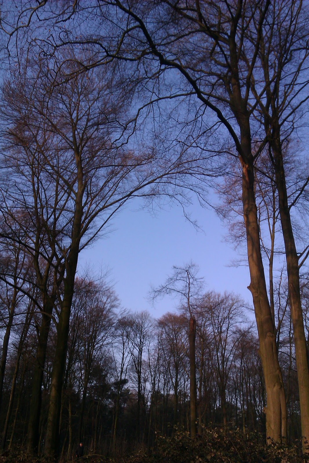 Frau Frieda Waldeigen