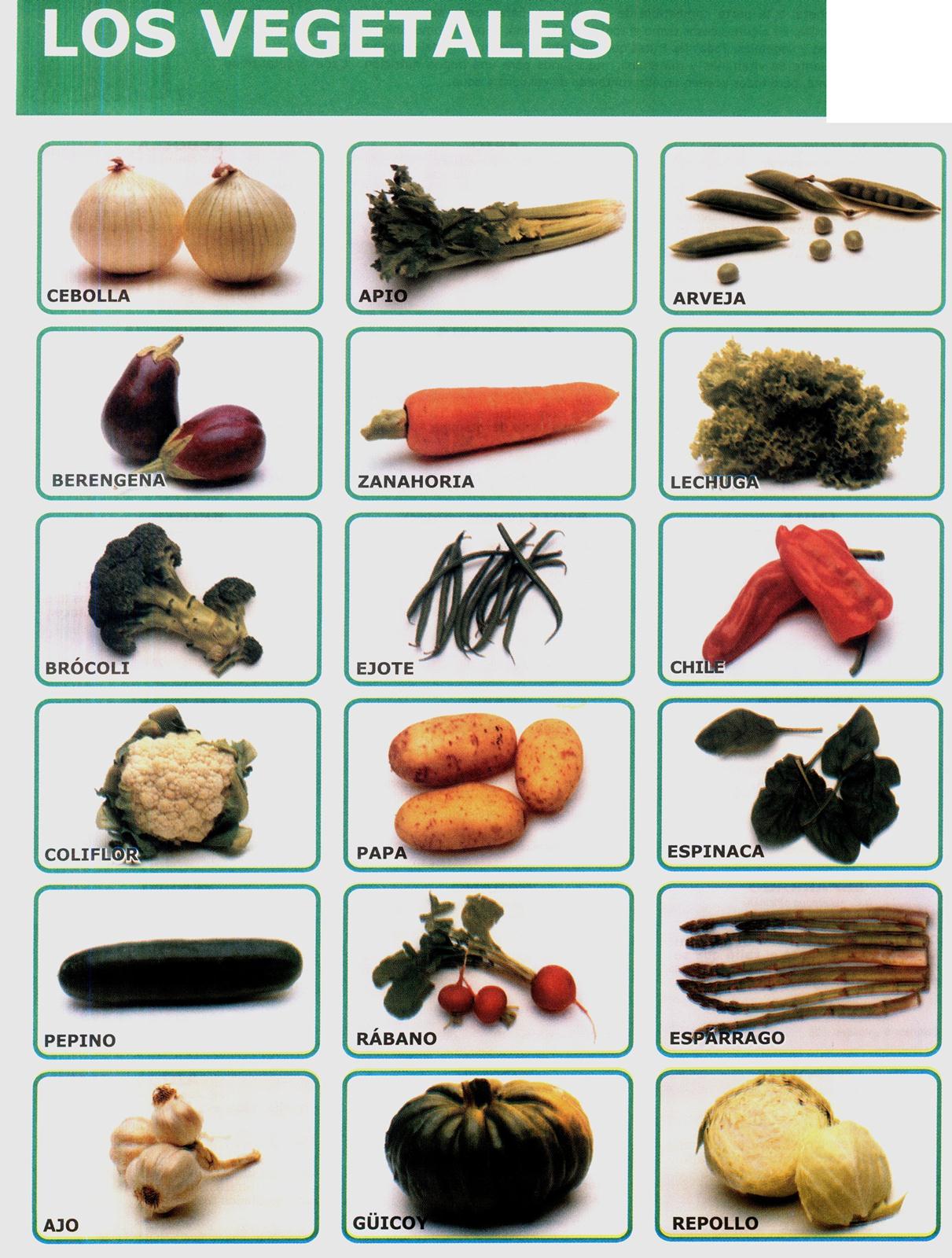 lamina los vegetales