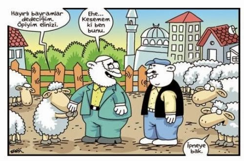 Pamuk Şeker Ekim 2013