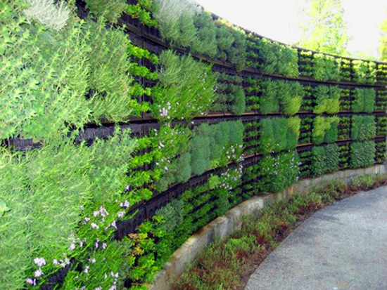 Inspirasi pagar dengan tanaman