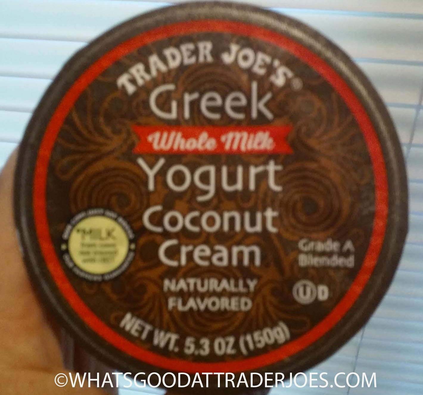 What's Good at Trader Joe's? Trader Joe's Coconut Cream Greek Yogurt