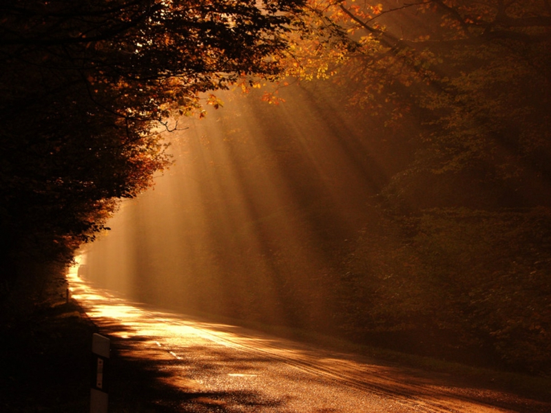 Top 35 Beautiful And Fabulous Paths Wallpapers In HD