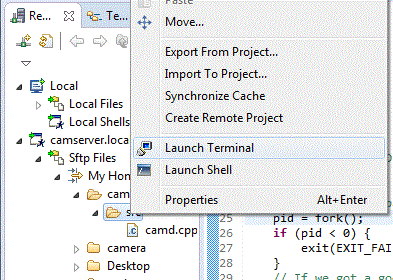 Raspberry Pi Programming: Step-by-step setting up Remote System ...