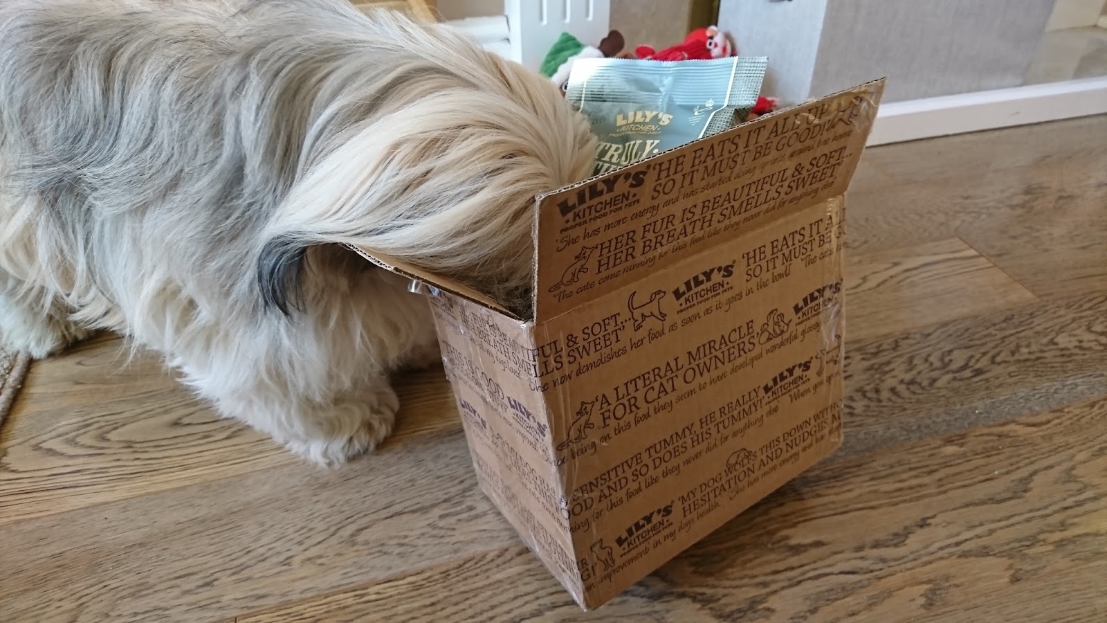 Favourite Products Lily's Kitchen Truly Naturals Paws across Britain