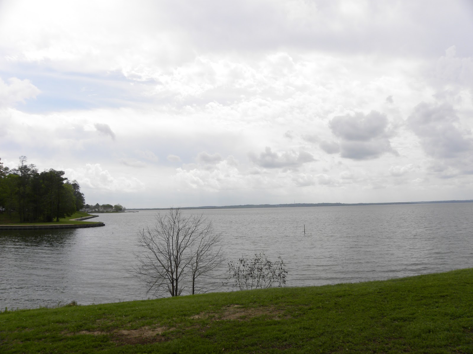Looking Out the Rear Window Lake Livingston, Lake Tawakoni and East Texas