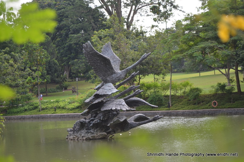 Singapore Botanic Garden-some more pictures - eNidhi India Travel Blog