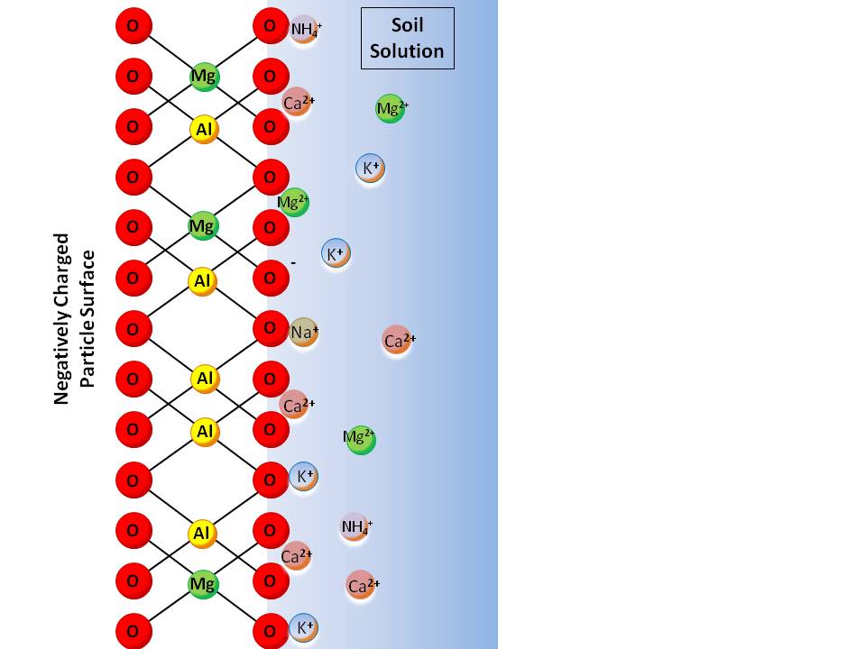 Managing Plant Nutrients Soil and Fertilizer Magnesium