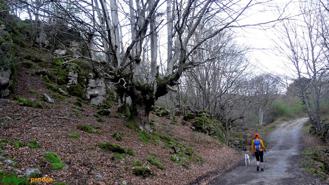 Ruta circular al Gorbea (Gorbeia), techo de Vizcaya y Álava en el País Vasco