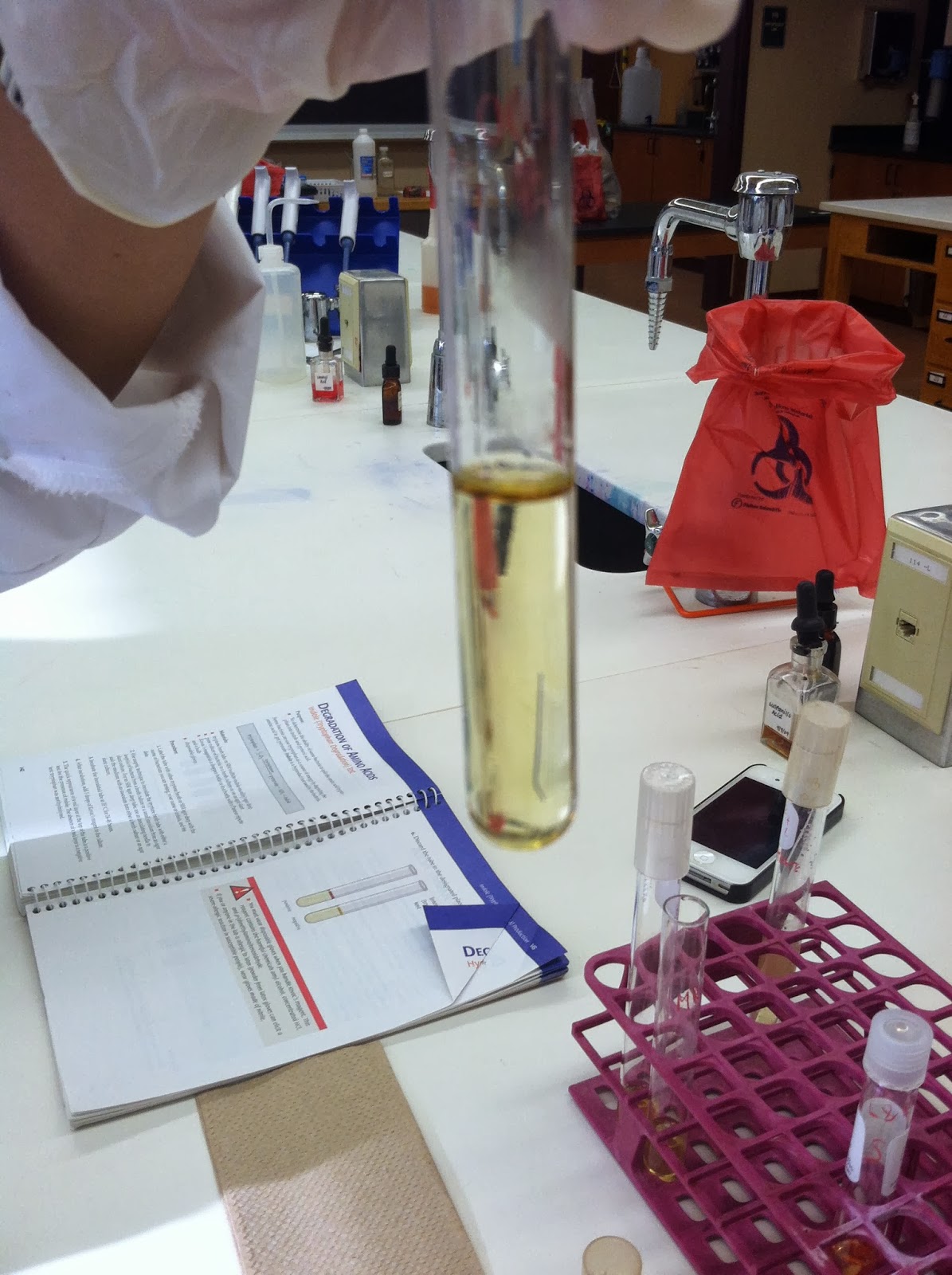Rose & Lindsey's Medical Microbiology Blog: Indole (Tryptophan ...