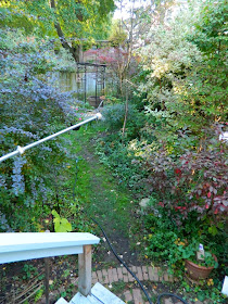 Annex garden cleanup Annex Paul Jung Toronto Gardening Services before