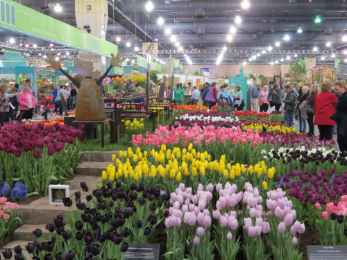 Philadelphia Flower Show