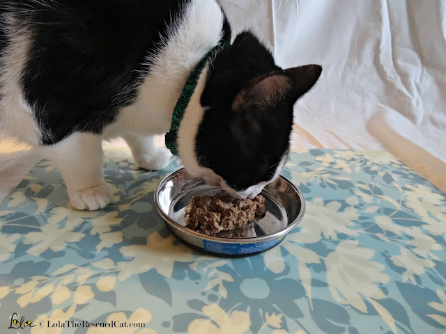 solid gold purrfect pairings|solid gold pet food