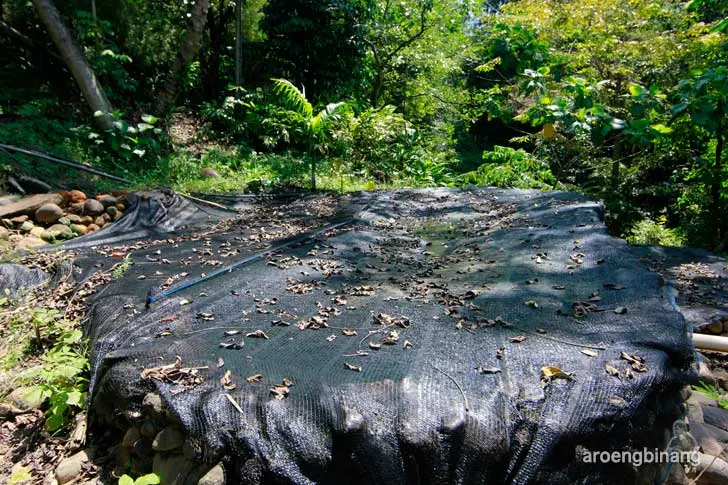 kawah hitam gunung pancar bogor