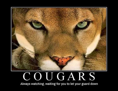 cougar.jpg