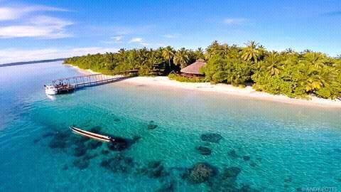 Aloita Resort Pulau Mentawai