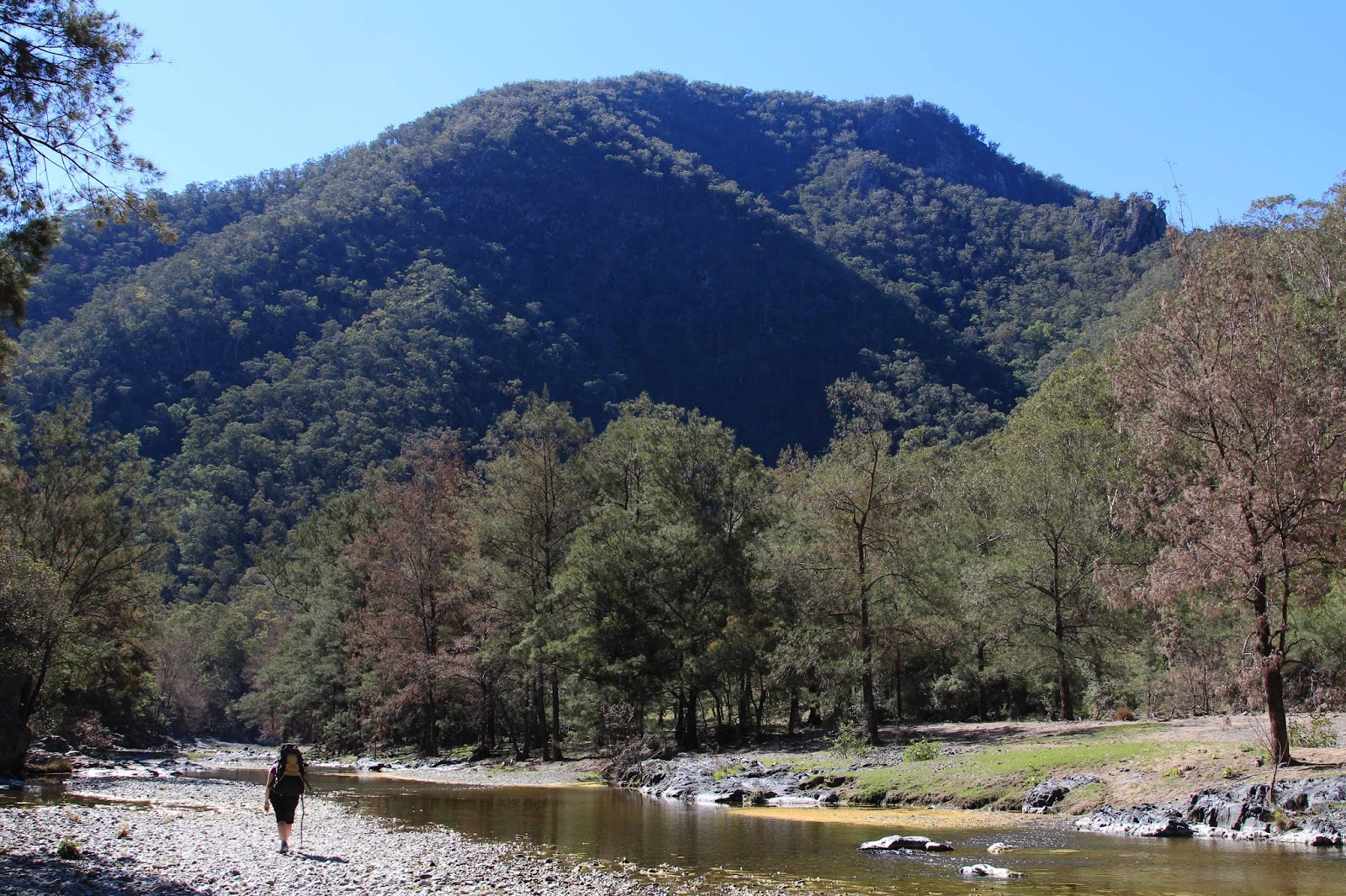 awildland Walking the wild river Oxley Wild Rivers National Park