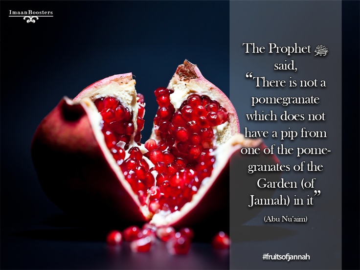 Ajams in Arabia Pomegranates In Islam & Its Proven Benefits/Cures