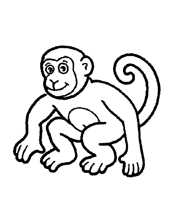 Tranh tô màu con khỉ đuôi dài