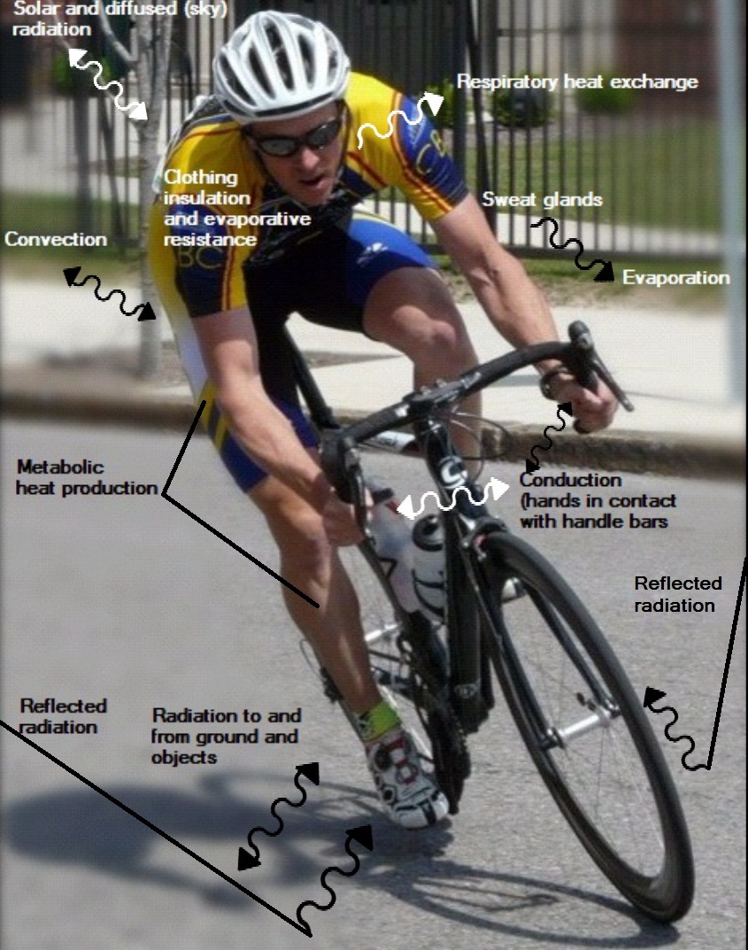 cycling in the heat