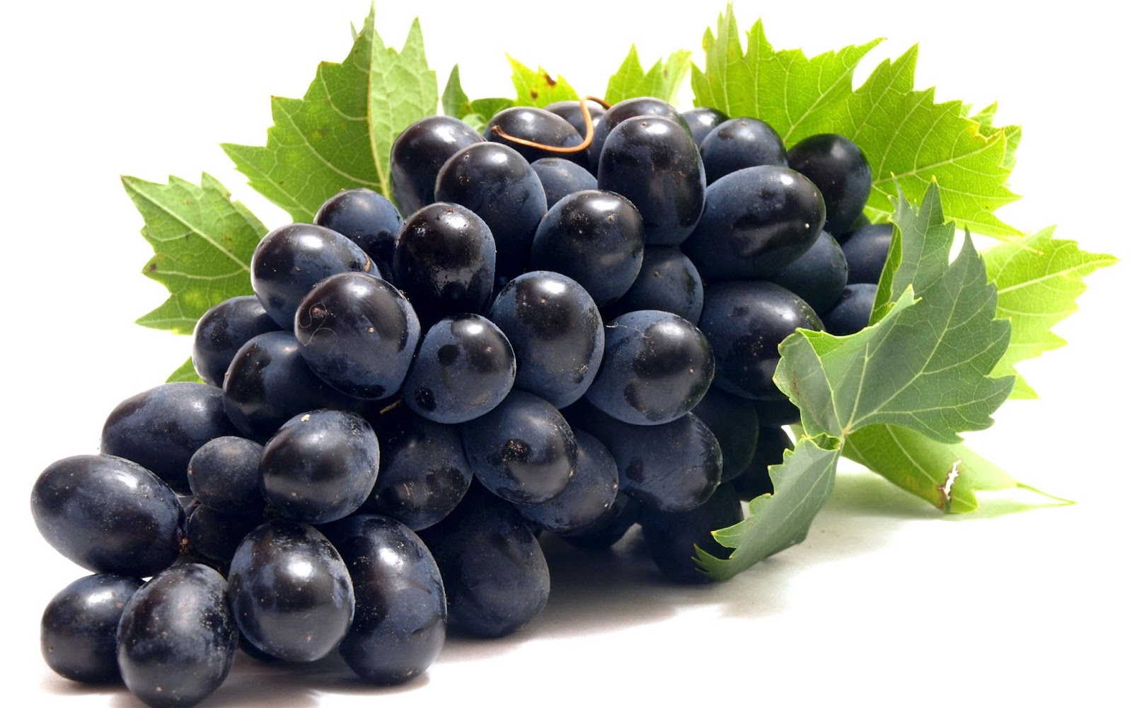 tratamiento del extracto de semilla de uva para cáncer de próstata