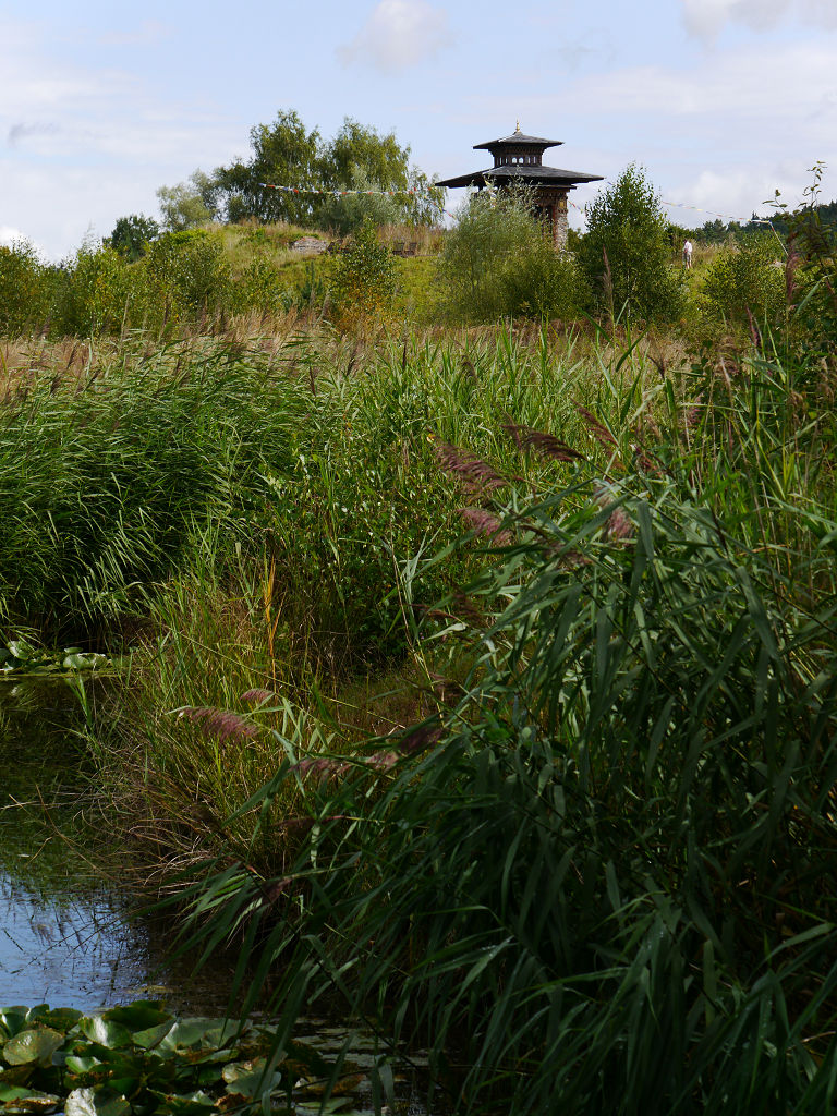 Leserjury Von Mein Schoner Garten Zum Deutschen Gartenbuchpreis 2014 Auf Schloss Dennenlohe Teil 1 Von 3 Achims Garten