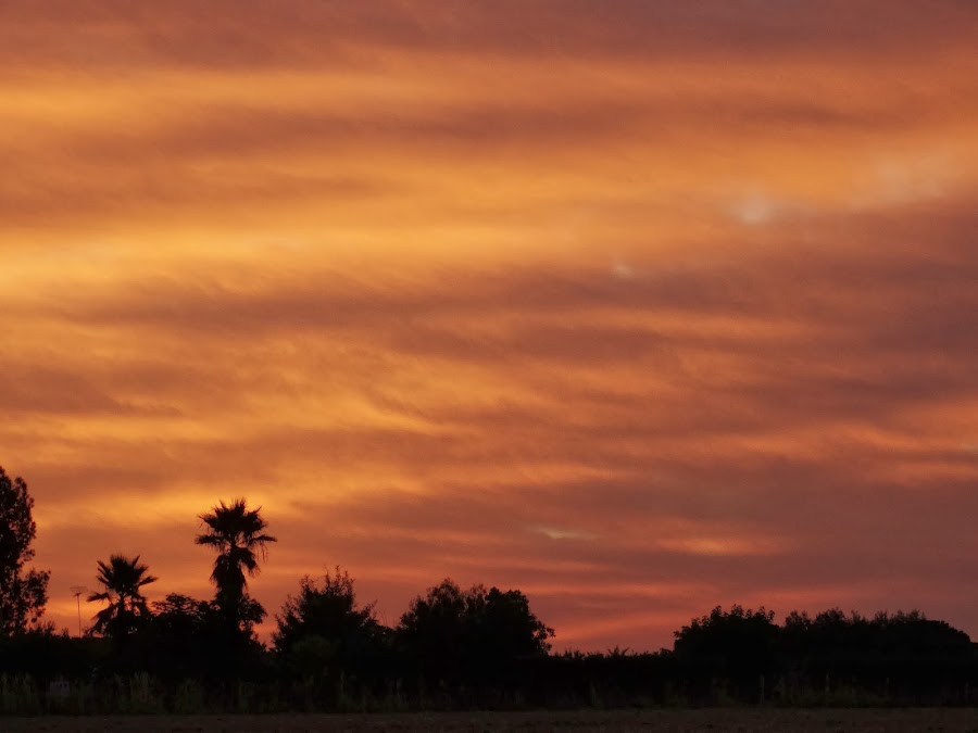 AMANECER EN EL TERRAO