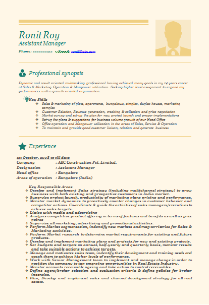 Resume Format Chartered Accountant Articleship
