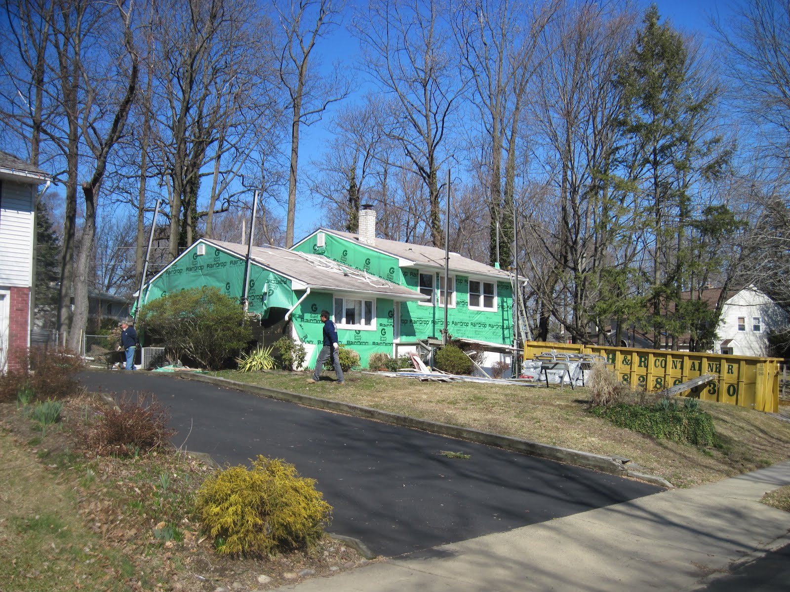 The Belle of Cowbell: The Bipolar Therapist from Willow Grove, PA