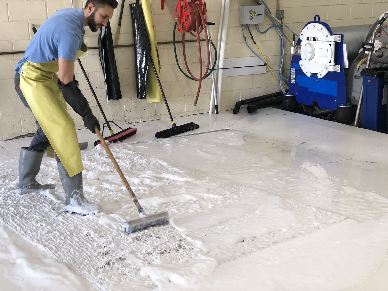 Rug Master Professional Rug Cleaning in Los Angeles